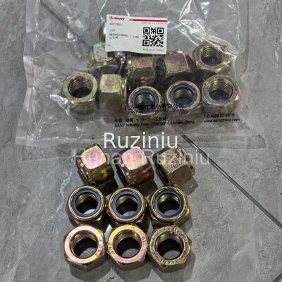 60233827,120102990054A সানি বাদাম